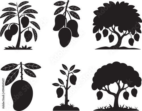 Collection of six stylized black silhouette illustrations depicting mango trees at different stages of growth with ripening fruits and green leaves isolated on a clean white background