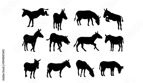 A collection of black donkey silhouettes in various poses on a white background