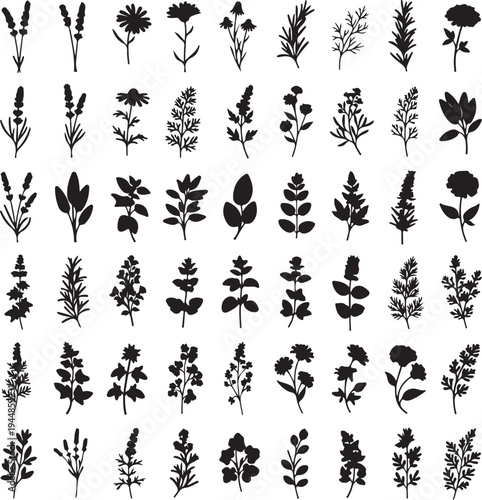 Collection of various black silhouette plants and flowers on white background