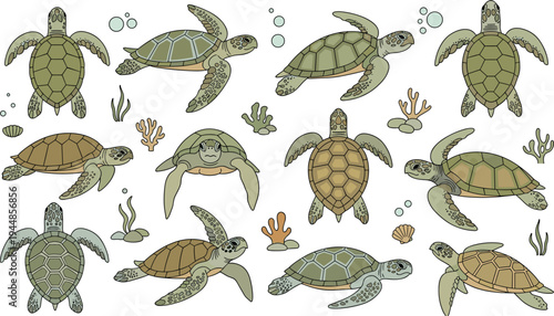 Large set of hand drawn sea turtle vector illustrations showing different perspectives and marine life elements like seaweed isolated on white background.