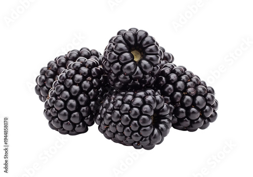 Wallpaper Mural Ripe Blackberries, Close Up Shot, Natural Light, Fresh Harvest Torontodigital.ca