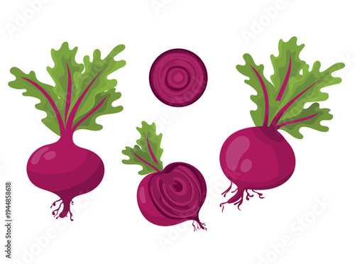 Set of whole and sliced ​​beets, flat vector illustration of organic red beetroot with leaves isolated on white background.