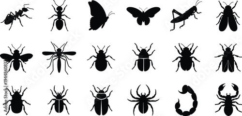 Black insect silhouettes collection featuring ants, butterflies, beetles, spiders, scorpions, and grasshoppers isolated on white background for nature and biology design