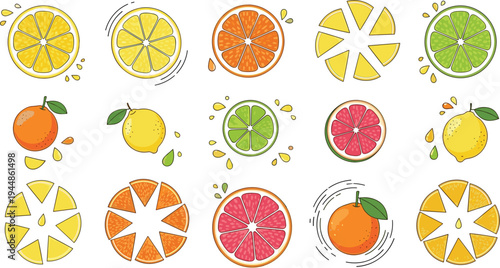 Set of flat vector illustrations featuring colorful citrus fruit slices of lemon orange lime and grapefruit isolated on a white background.