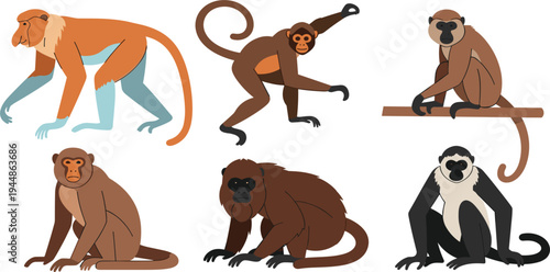 Monkey Species Illustration Set Featuring Various Primates in Different Poses Including Langur, Macaque, and Colobus Monkey Isolated Vector Collection for Wildlife and Education