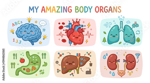 Delightful Educational Cartoon Illustrations of Human Body Organs for Learning and Fun