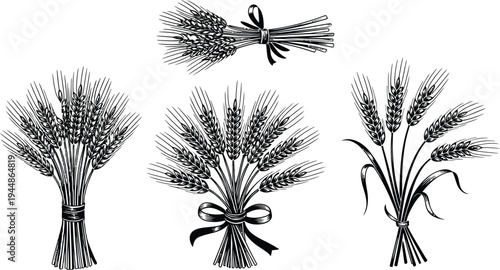 Wheat Bunches with Ribbons Isolated on White Background