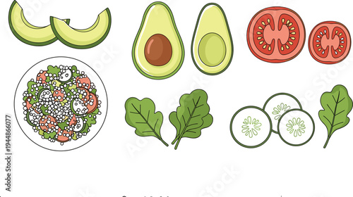 Fresh Salad Ingredients Illustrations Set, Avocados, Tomatoes, Cucumbers, Leafy Greens, and Healthy Meal Bowl for Nutrition and Wellness Designs