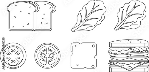 Sandwich Ingredients and Bread Slices Illustrations Set, Lettuce, Tomato, and Sandwich Design for Food, Recipe, and Culinary Graphics