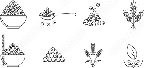 Grains and Wheat Illustration Set Featuring Bowls, Spoons, Seeds, and Plant Stalks for Healthy Food Branding and Agricultural Designs