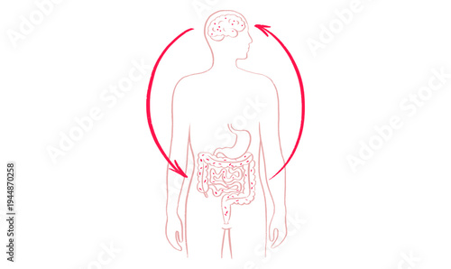 Gut Brain Connection