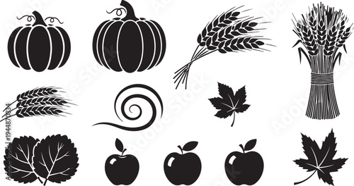 Autumn harvest icons with pumpkins, wheat, and apples