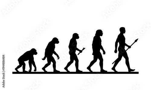 Black silhouette vector illustration showing the stages of human evolution from primitive primates to a modern homo sapien hunter with a spear. Classic march of progress concept.