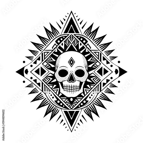 Filled style illustration depicting human skull structure