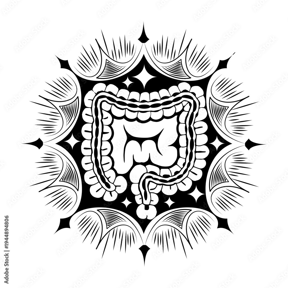 Fototapeta premium Vintage style illustration depicting intestine