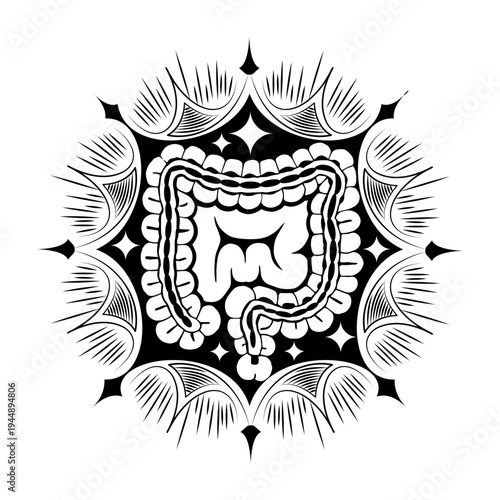 Vintage style illustration depicting intestine