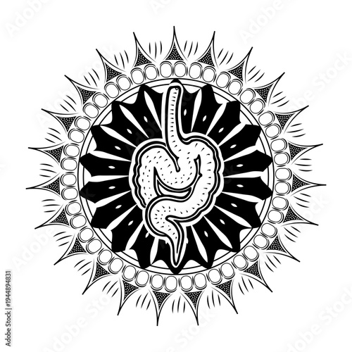 Vintage style illustration showing digestive system 