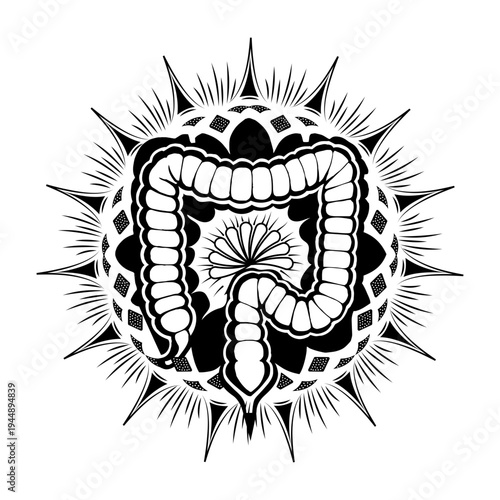 Glyph style illustration showing human colon anatomy