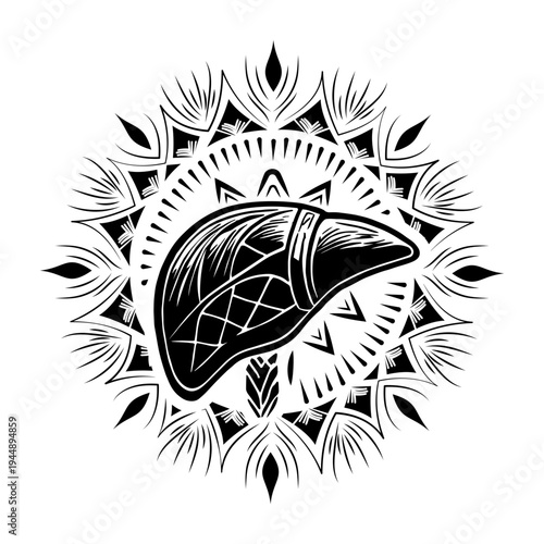 Vintage style illustration depicting liver structure