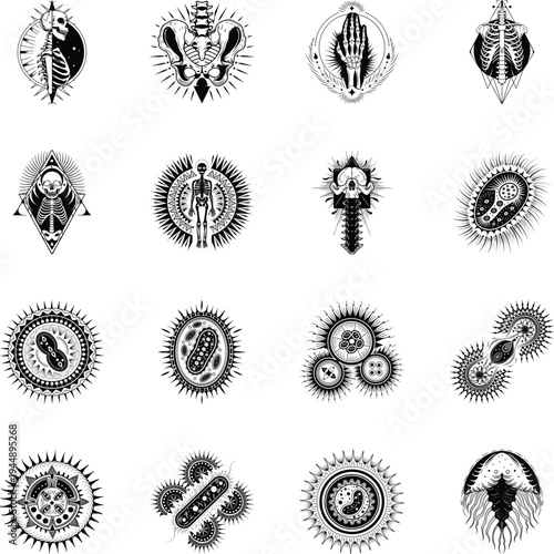 Collection of Glyph Style Anatomy Illustrations 