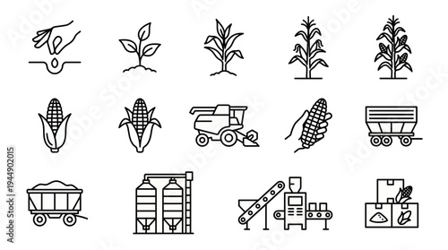 Corn agriculture and maize farming industry icons featuring seed planting growth harvest machinery and grain processing symbols, concept for farm infographics, branding and food technology