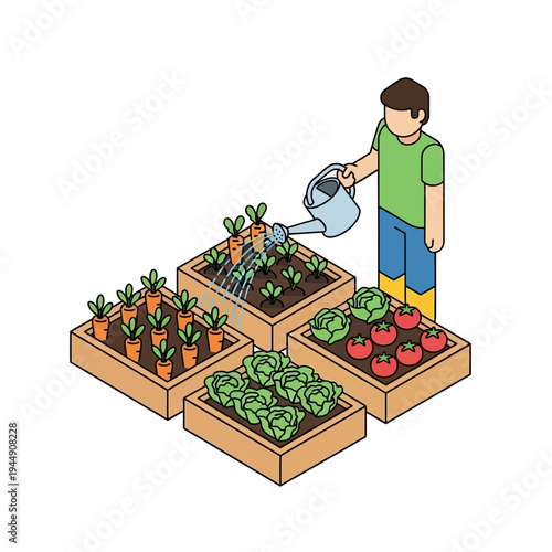 A person watering a garden with various vegetables growing in wooden boxes.