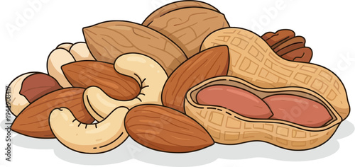 Assorted Nuts Vector Illustration – Almonds, Cashews, Peanuts and Walnuts Healthy Snack