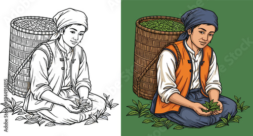 Hand drawn vector illustration of a young tea picker sitting with a large basket and fresh leaves