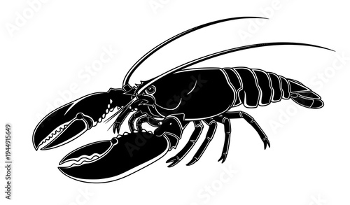 Lobster black and white vector with detailed claws antennae and segmented shell isolated on transparent background