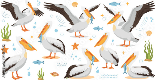 Large collection of pelican bird characters in various poses catching fish with aquatic elements in flat vector illustration style
