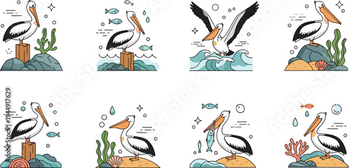 Flat line vector illustration set of pelican birds in various coastal scenes with fish seaweed shells and ocean