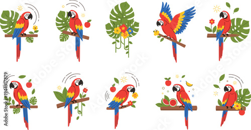 Tropical scarlet macaw parrot vector illustration set featuring colorful birds perched on branches with exotic jungle leaves and fruit