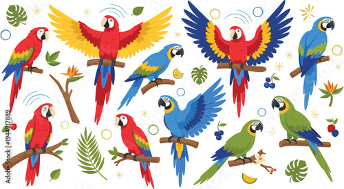Set of tropical macaw parrot vector illustrations with red blue and green birds perched on branches with jungle leaves