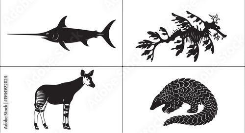 Collection of Black and White Minimalist Animal Silhouettes Featuring Swordfish, Leafy Seadragon, Okapi, and Pangolin Vector Illustrations