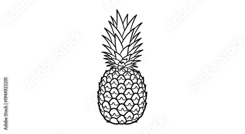 Line art illustration of a pineapple with detailed textured skin and leafy crown