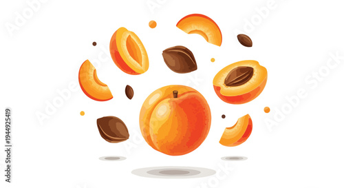 Fresh Apricot Fruit Composition with Slices and Pits Isolated on White Background