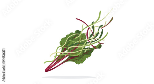 Fresh Swiss Chard Leaves Illustration