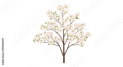Blooming tree with white flowers.