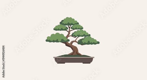 Bonsai tree in a pot.