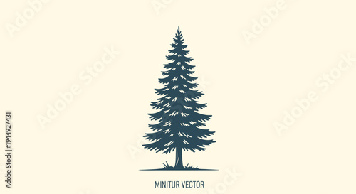 Evergreen Pine Tree Illustration Design Element.