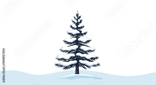 Evergreen Pine Tree in Winter Snow.