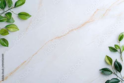 Elegant marble background with green leaves framing a soft and light textured surface