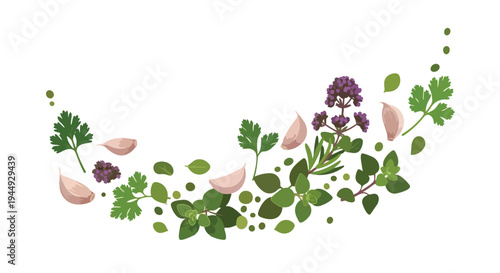 Fresh Culinary Herbs and Garlic Cloves Arrangement