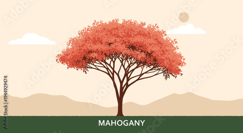 Mahogany tree with red leaves standing.