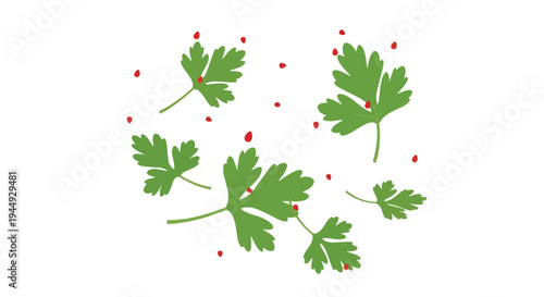Hand Drawn Parsley Leaves and Red Pepper Flakes Illustration