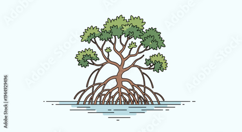 Mangrove tree with exposed roots.