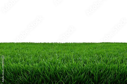 Fresh green grass growing on transparent background creating seamless lawn edge for gardening and natural themes