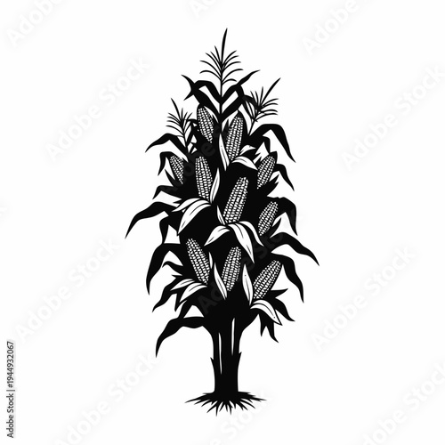 Tall stalk of corn plants bearing multiple mature ears of grain stands vertically as a detailed black and white agricultural emblem.