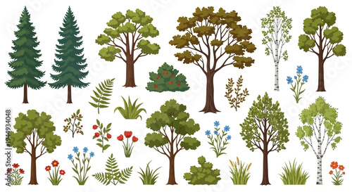 Collection of trees and various plants.