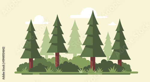Group of Evergreen Pine Trees.